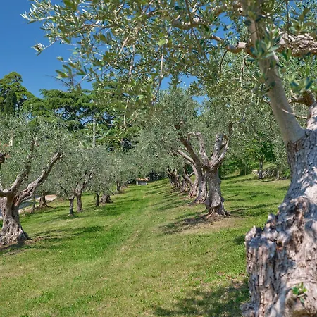 Cason Degli Ulivi-apt *