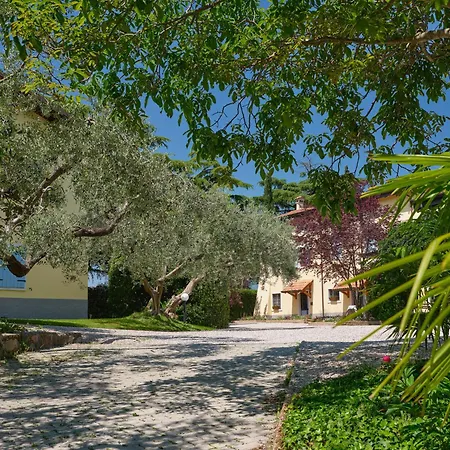 Cason Degli Ulivi-apt *