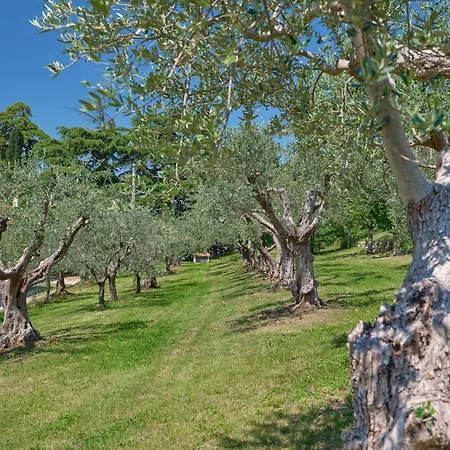 Cason Degli Ulivi-apt *